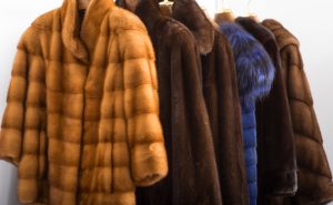 高級毛皮のコート
